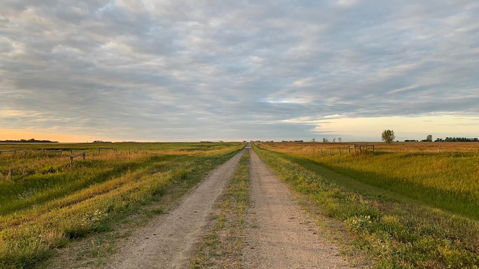 Une route de campagne en milieu agricole en fin de journée.