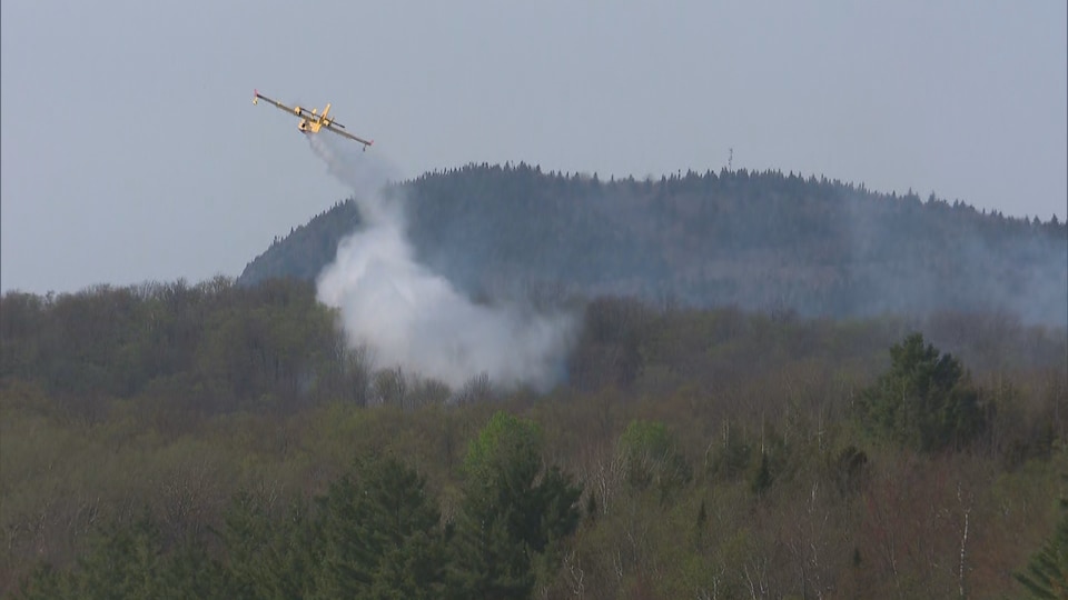 Un avion-citerne largue de l'eau sur une forêt pour éteindre l'incendie.