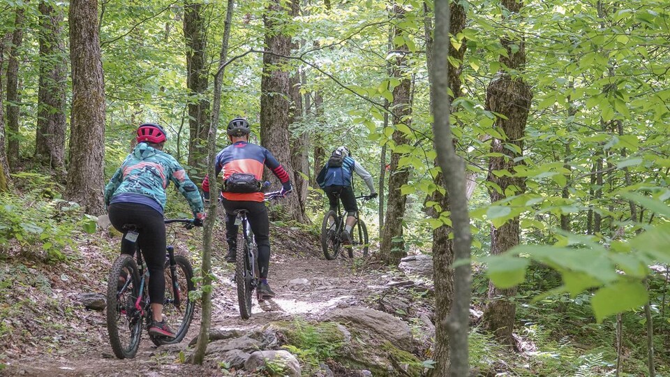 Des amateurs de vélo de montagne