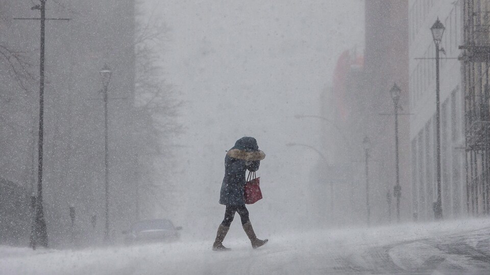 Une femme traverse une rue d'Halifax en se protégeant du vent pendant une tempête de neige le 8 février 2016.