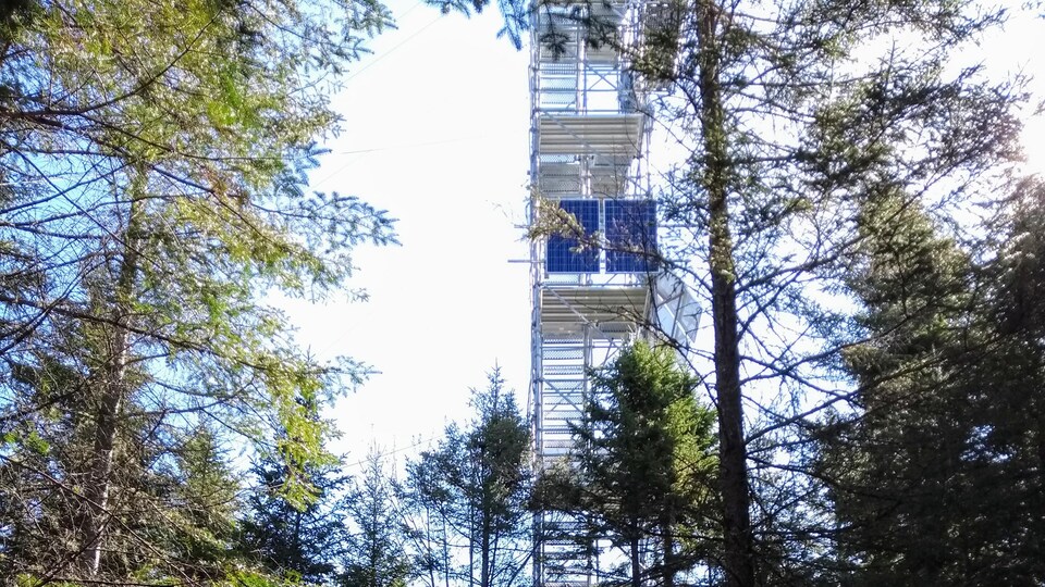 Une haute tour en métal avec escaliers entourée d'arbres.