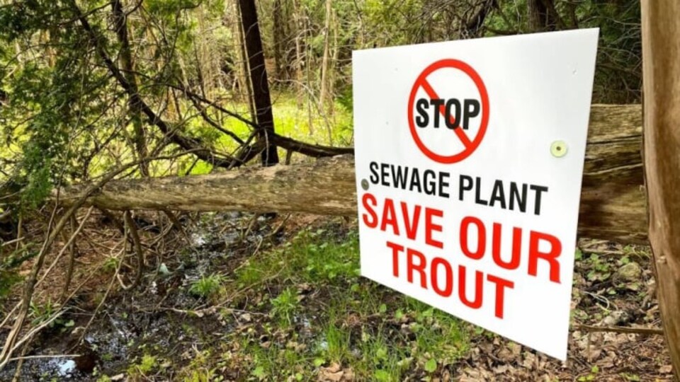 Une pancarte dans un bois demande la préservation des truites.