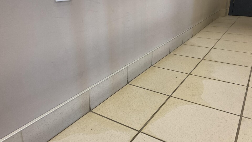 Une flaque d'urine séchée sur le plancher.