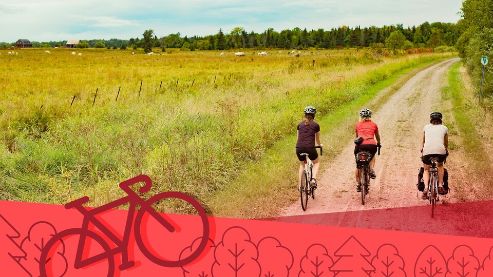 Trois femmes en vélo sur une piste au bord d'un champ.