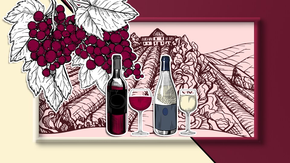 Une illustration d'une bouteille de vin rouge et d'une bouteille de vin blanc devant un paysage de vignoble.