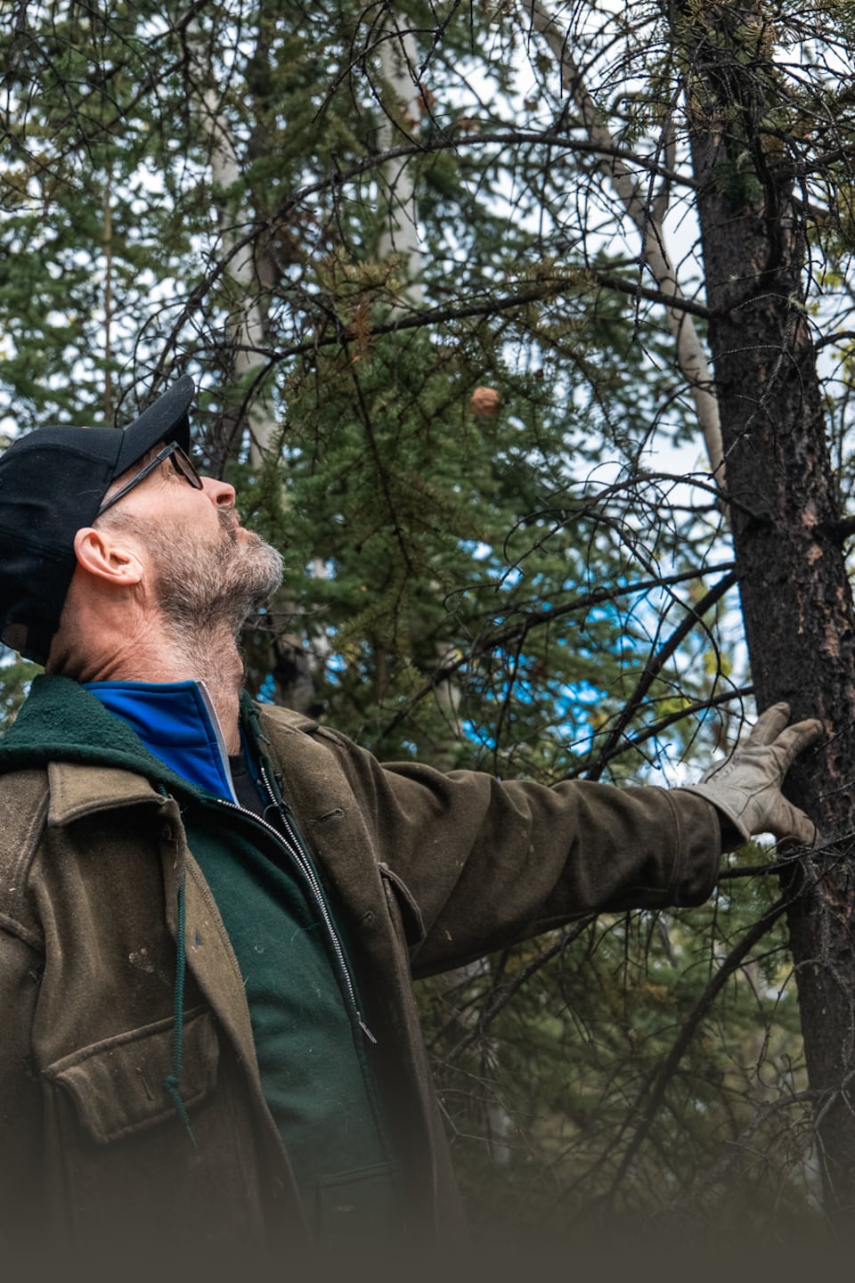 Florian Boulais met sa main sur un arbre et regarde vers le ciel.