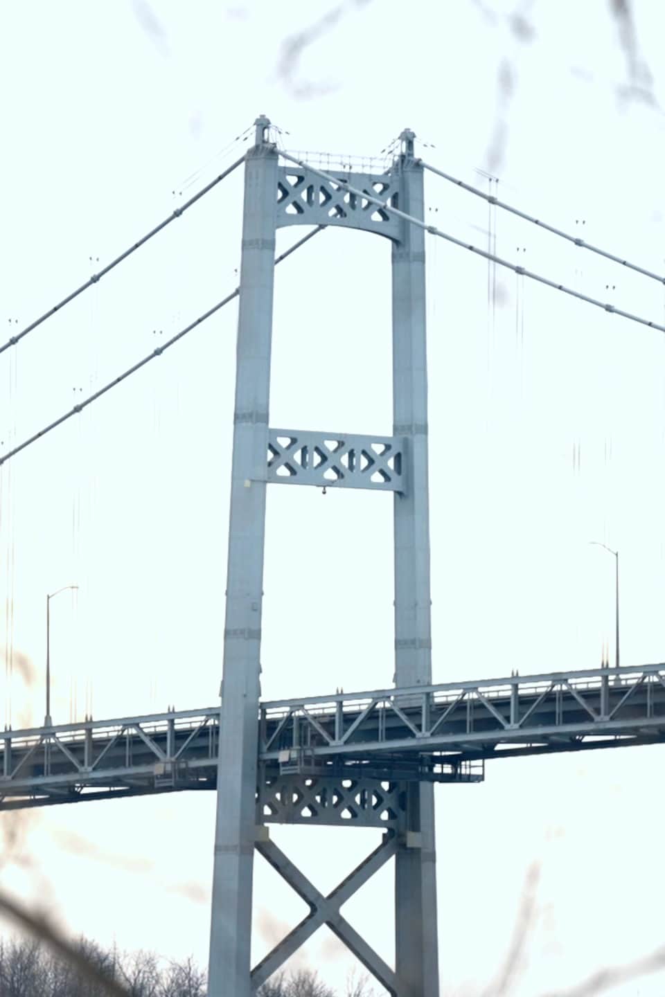 Le pont Seaway vu de côté, derrière des branches d'arbres, en hiver.