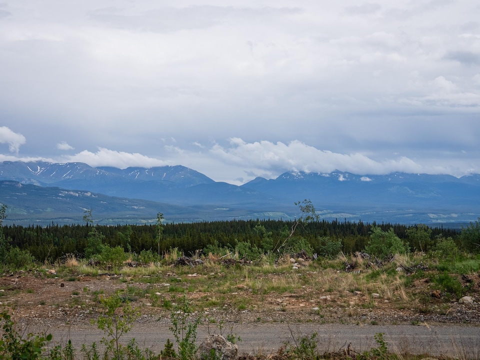 Vue du coupe-feu de Whitehorse avec des montagnes à distance.