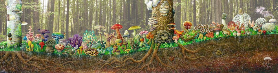 Peinture qui montre une variété de champignons.