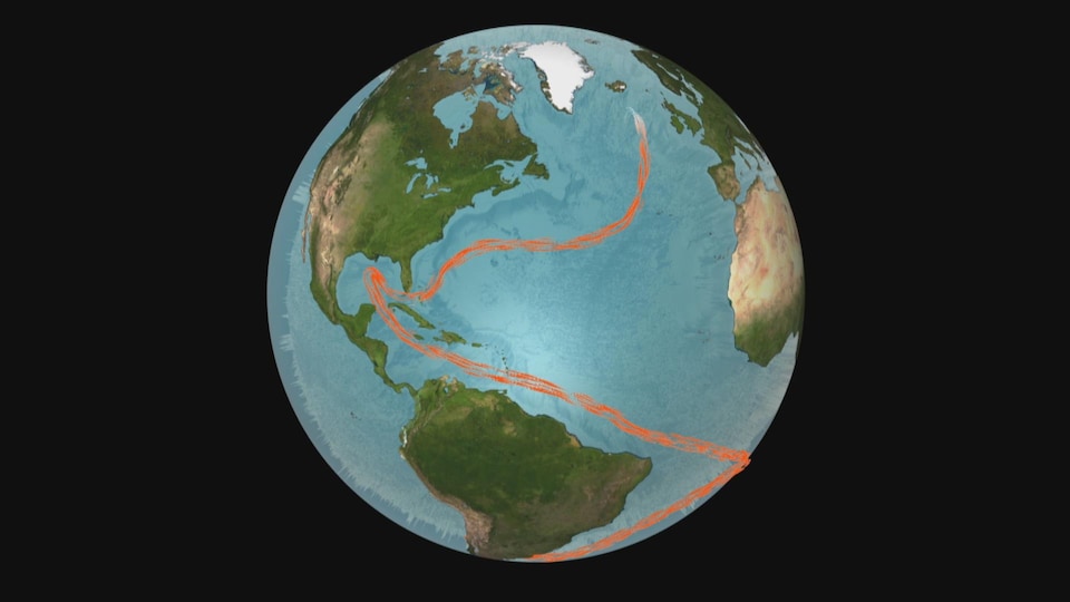 Le Gulf Stream, le grand courant régulateur de l’Atlantique, ralentit.