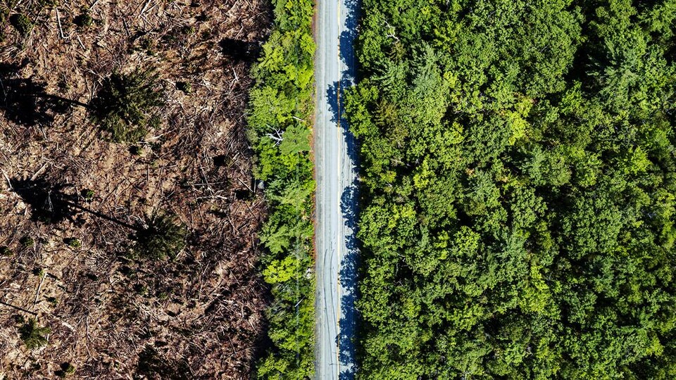 Une route sépare une zone de déforestation du reste de la forêt.
