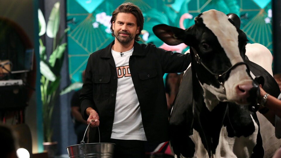 Jean-Philippe Wauthier tient un seau d'une main et flatte une vache de l'autre.