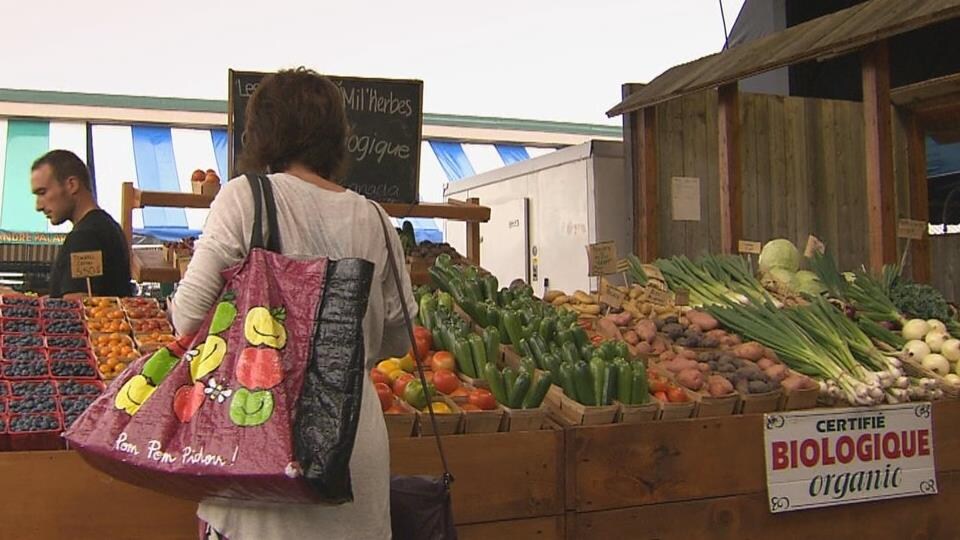 Une dame, de dos, regarde les légumes dans un marché public.