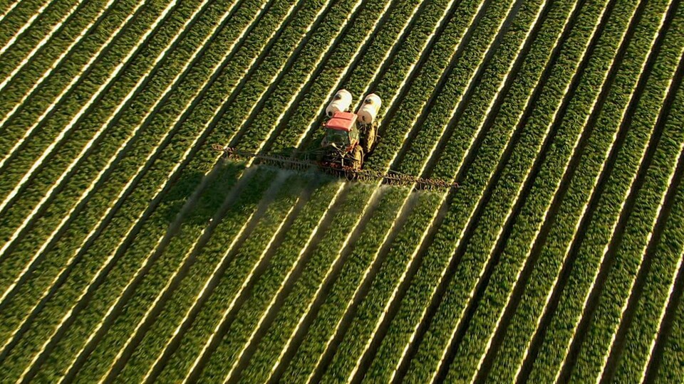 Vue aérienne d'un tracteur qui étend des pesticides dans un champ.