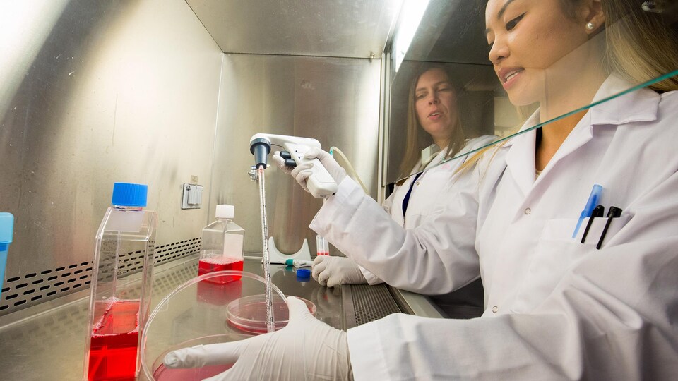 Deux femmes en sarrau manipulent des produits derrière une baie vitrée dans un laboratoire.