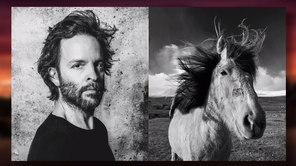 Deux photos une à côté de l'autre : d'un côté il y a Marc Beaupré et l'autre un cheval.