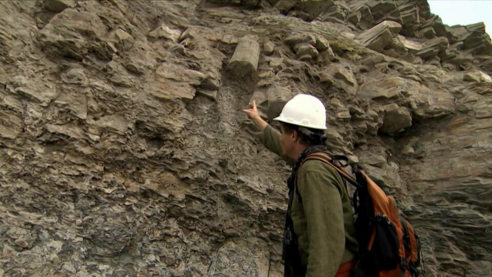 Pierre Jutras parle des Falaises fossilifères de Joggins.