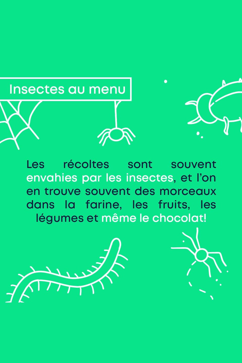 Insectes au menu : Les récoltes sont souvent envahies par les insectes, et l'on en trouve souvent des morceaux dans la farine, les fruits, les légumes et même le chocolat!