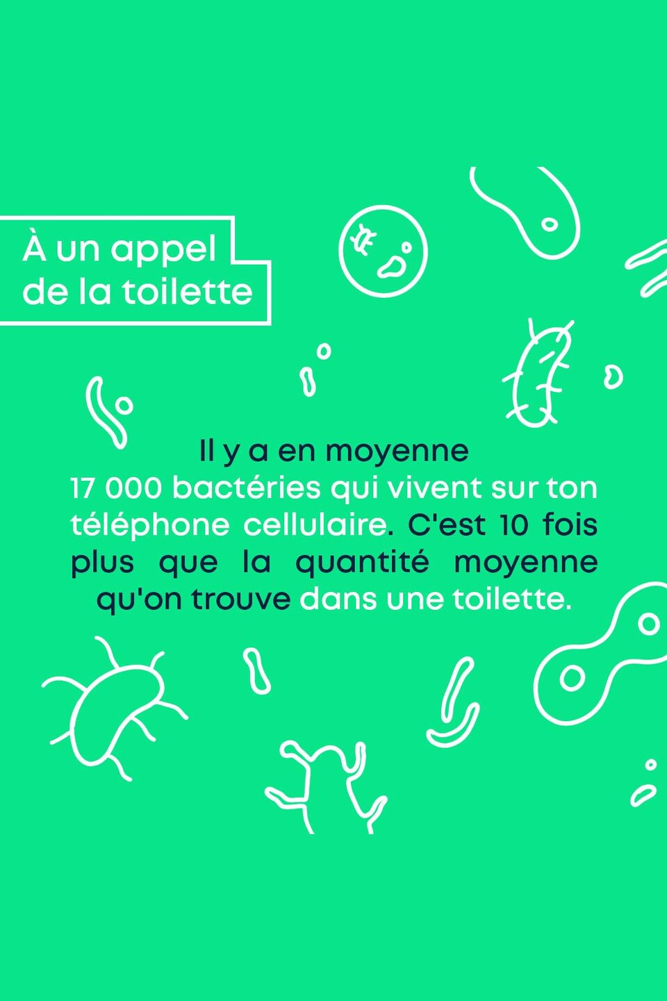 À un appel de la toilette : Il y a en moyenne 17 000 bactéries qui vivent sur ton téléphone cellulaire. C'est 10 fois plus que la quantité moyenne qu'on trouve dans une toilette.