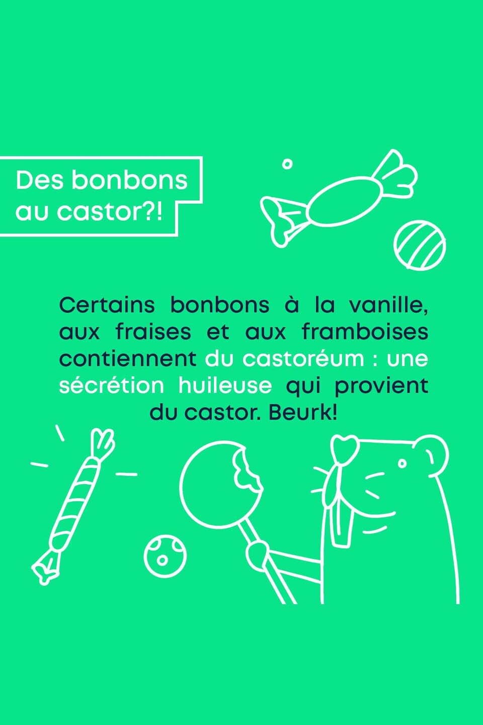 Des bonbons au castor?! Certains bonbons à la vanille, aux fraises et aux framboises contiennent du castoréum : une sécrétion huileuse qui provient du castor. Beurk!