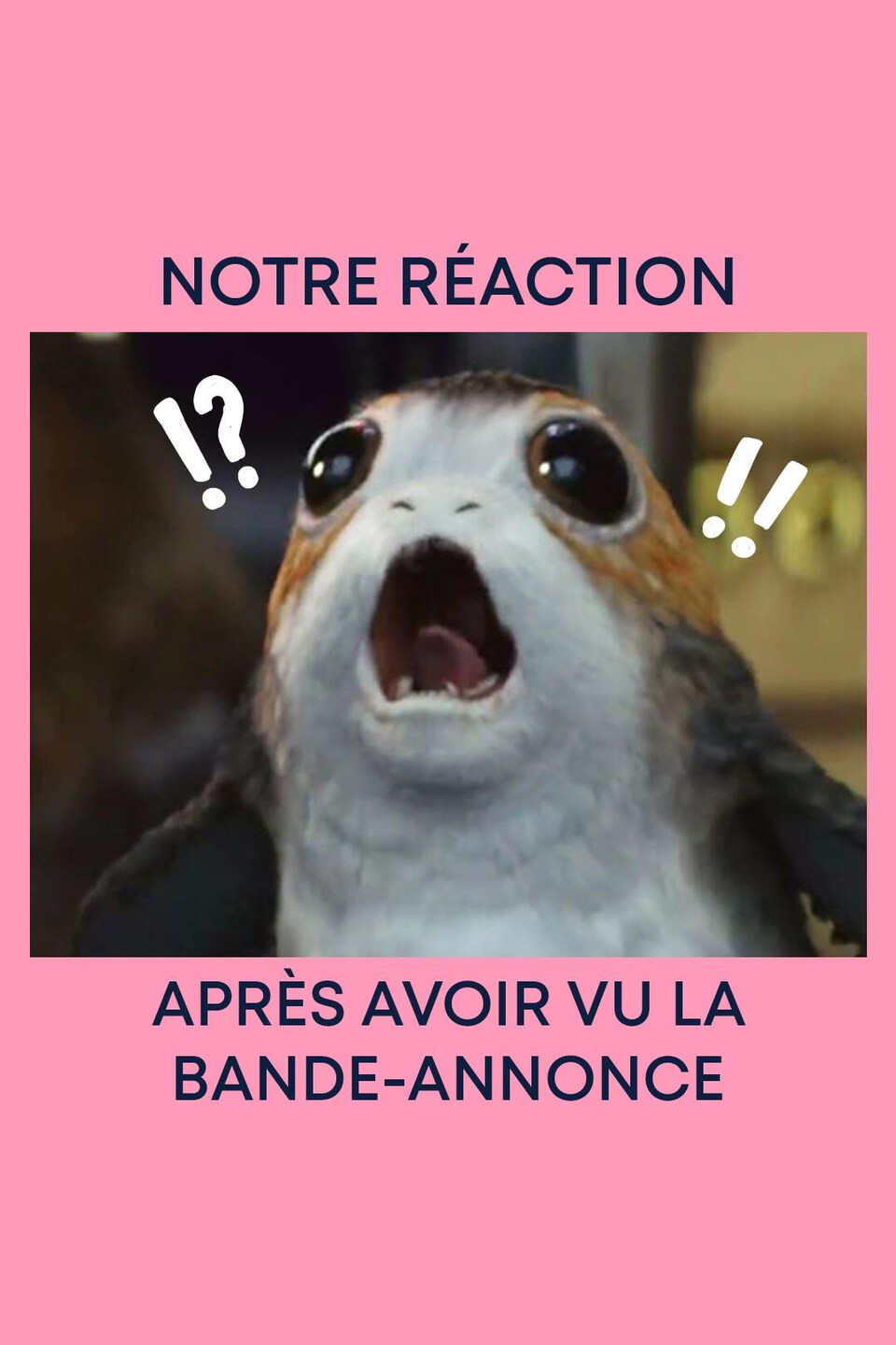 Notre réaction après avoir vu la bande-annonce (image d'un porg, avec un air étonné).