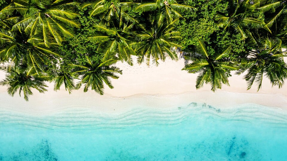 Une plage tropicale