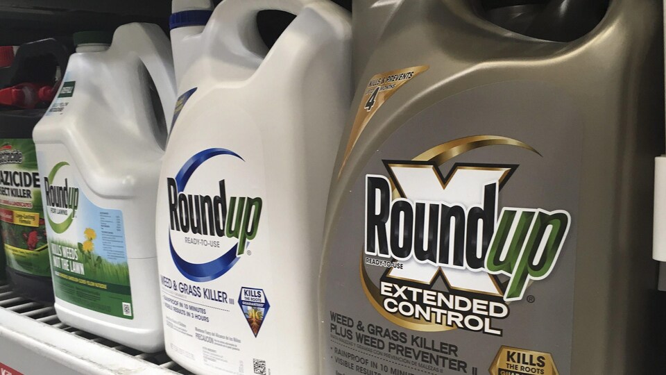 Des récipients de Roundup sur une étagère d'un magasin.