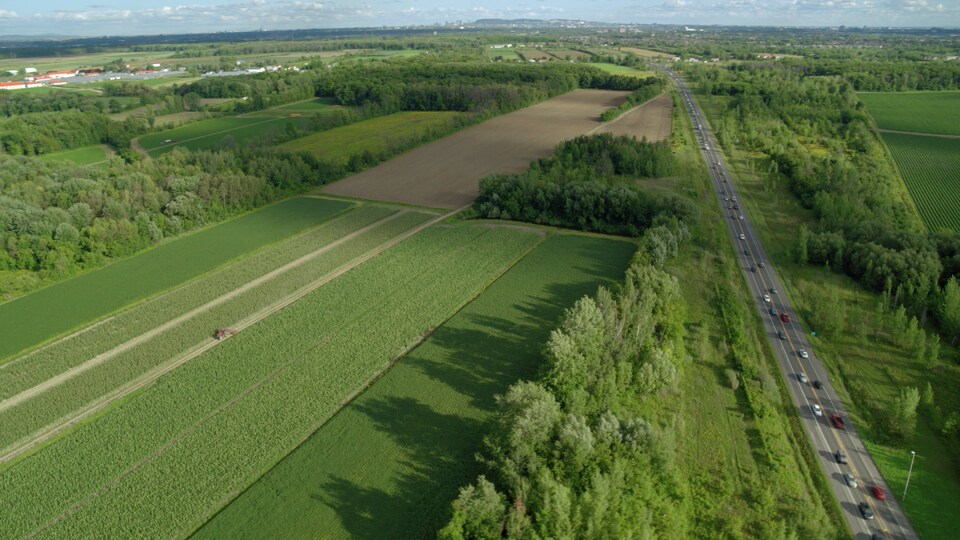 Des terres agricoles longeant l'autoroute 19 à Laval sont menacées par des projets urbains.
