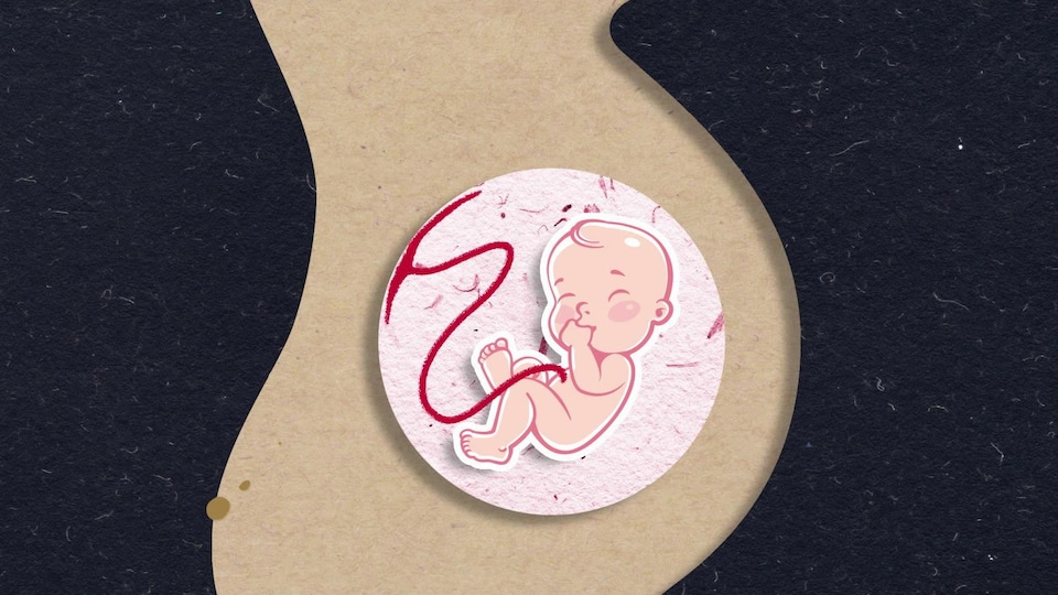 On voit un bébé dans son ventre et le cordon ombilical