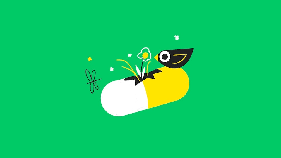 Une illustration d'une pilule divisé en deux, dont des fleurs, un oiseau et un papillon sortent du trou.