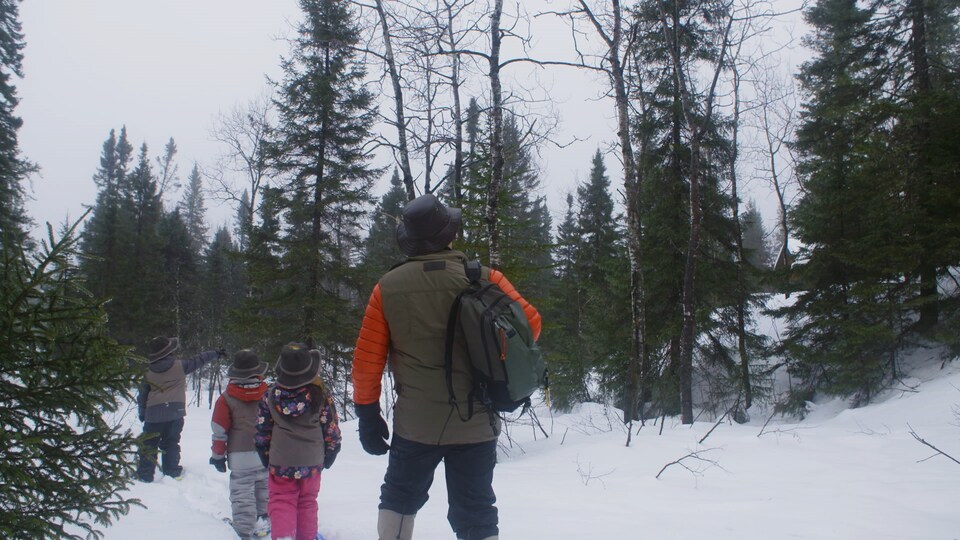 Dans la nature, en hiver