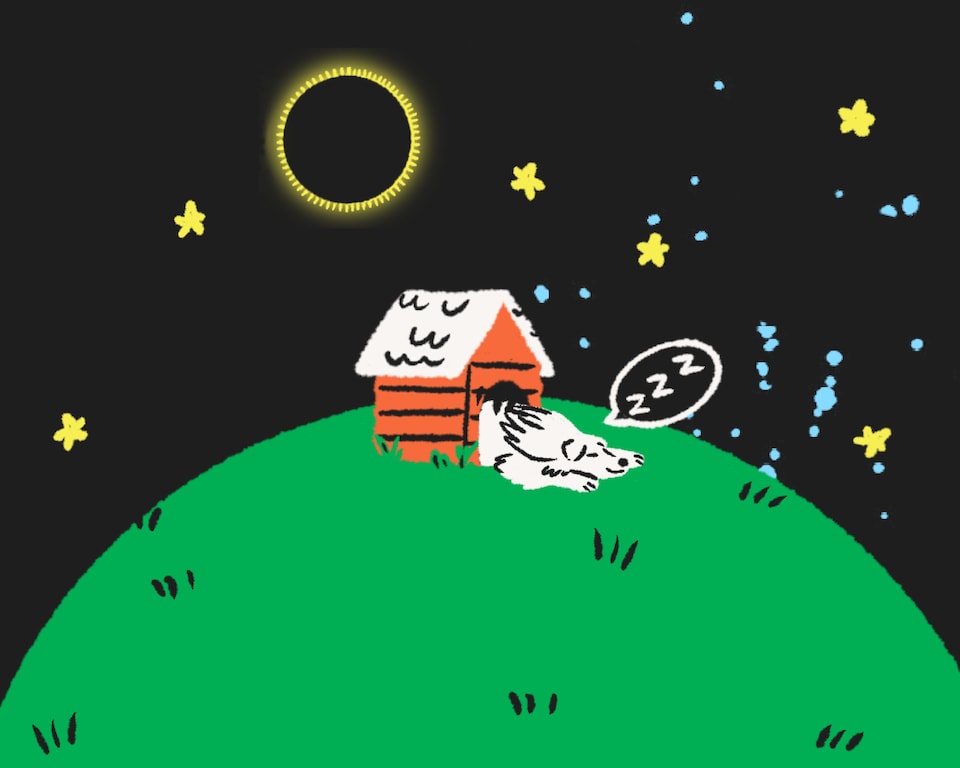 Une illustration de Bernard le chien qui dort dans sa niche lors d'une éclipse solaire.