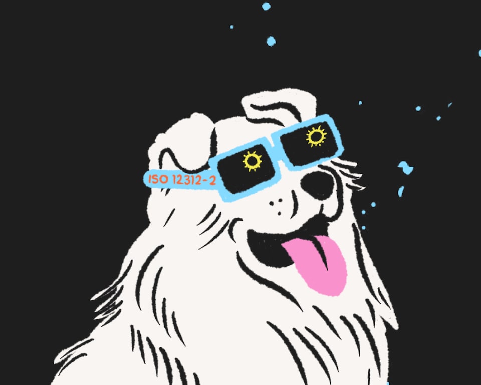 Une illustration d'un chien qui porte des lunettes avec le marqueur ISO 12312-2.