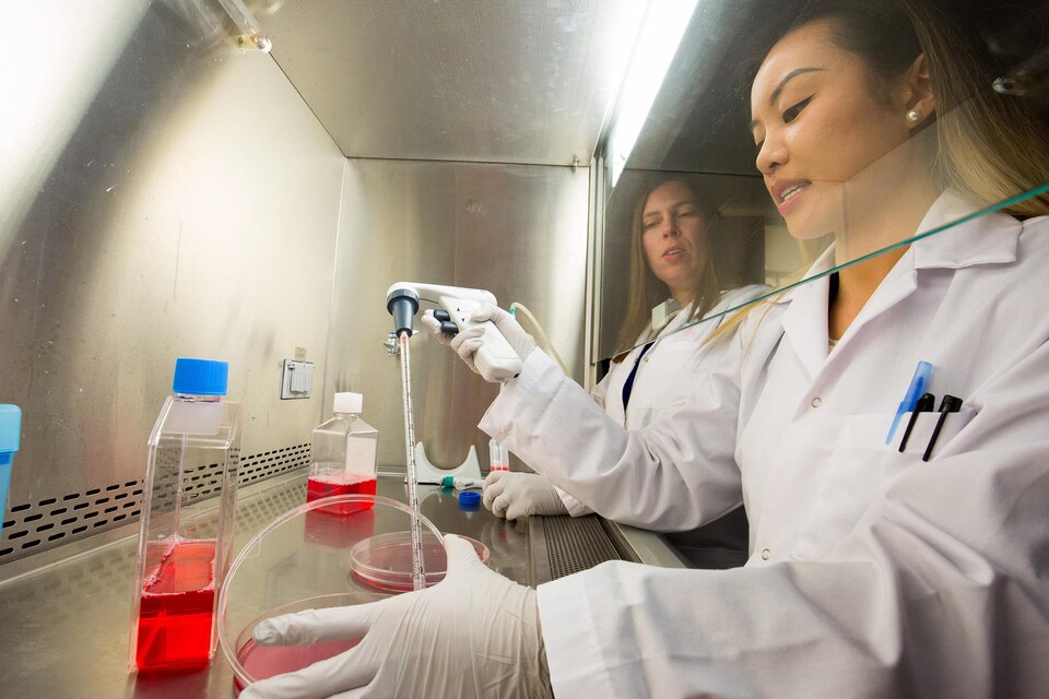 Deux femmes en sarraus manipulent des produits derrière une baie vitrée dans un laboratoire.