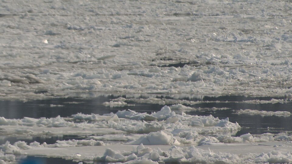 Des glaces sur le fleuve Saint-Laurent.