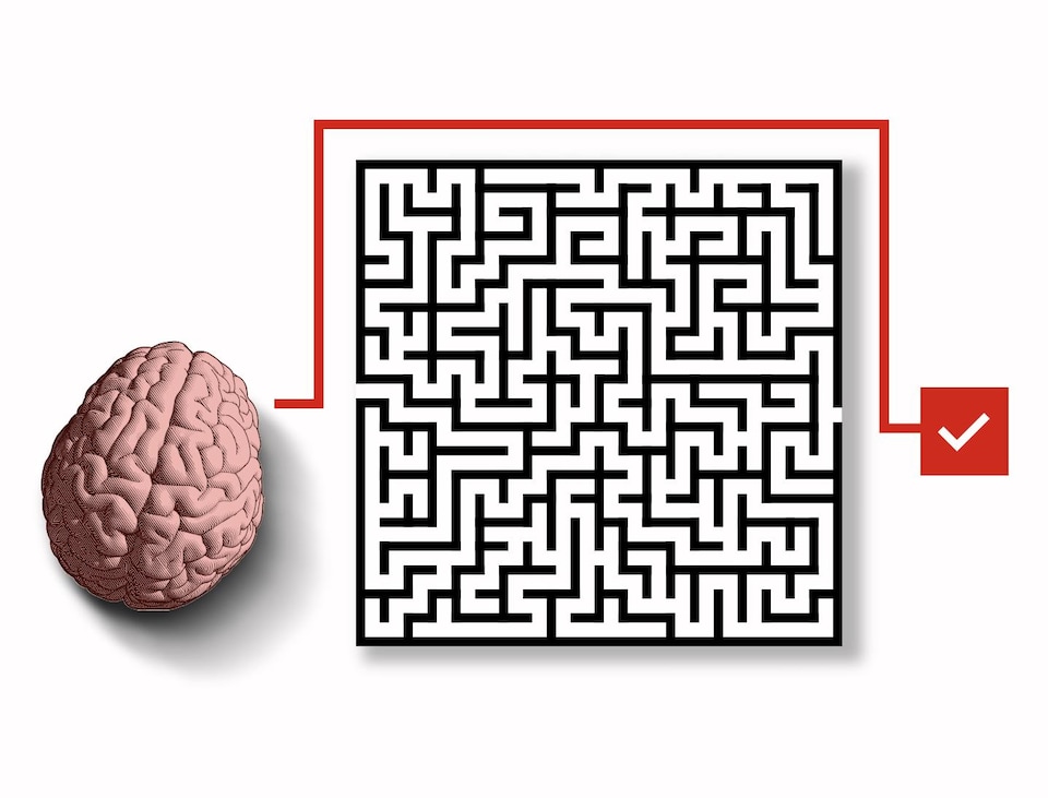 Un cerveau qui trace un chemin afin de contourner un labyrinthe.