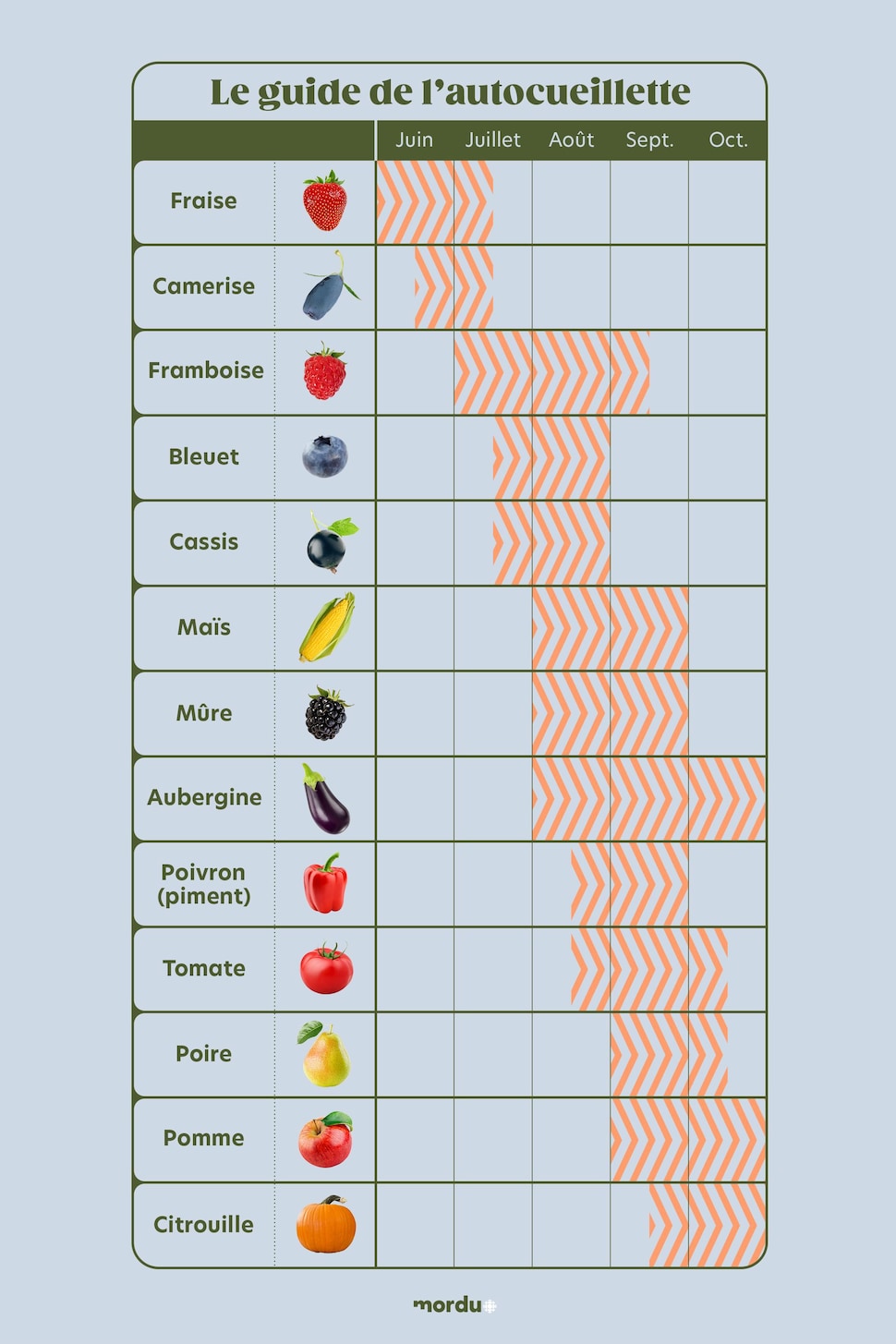 Une liste de 13 fruits et légumes et leur saison de récolte approximative en autocueillette.