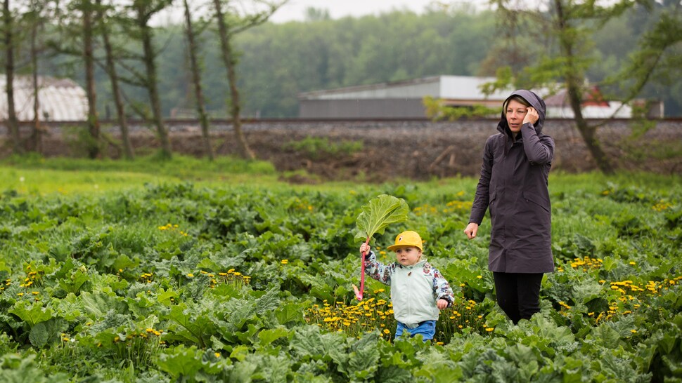 Femme et bambin qui marchent dans un champ.