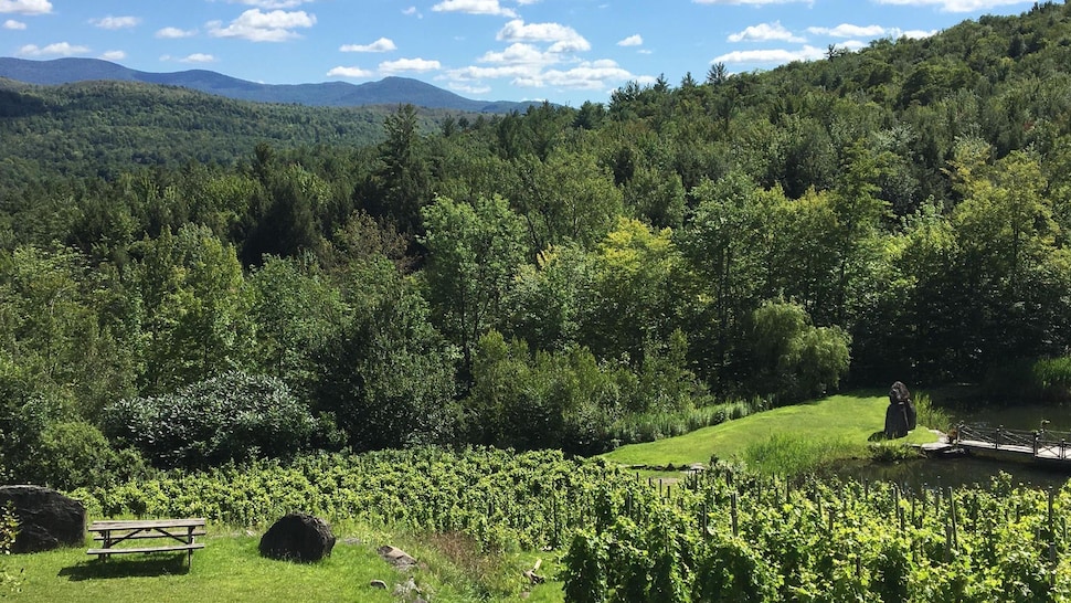 Le vignoble du Château Sainte-Agnès, sur la Route des vins. 