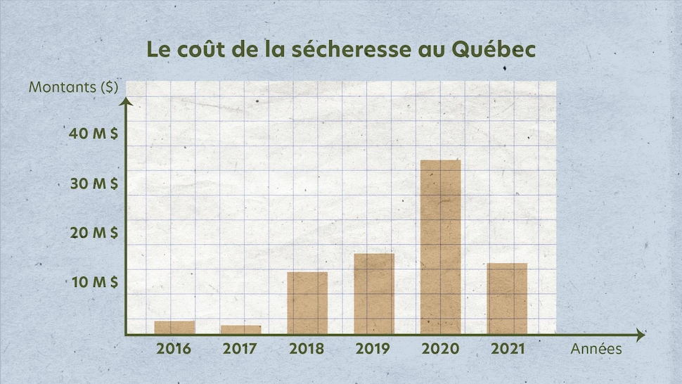 Un graphique montrant le coût des paiements d'assurances à cause de pertes liées à la sécheresse au Québec depuis six ans.