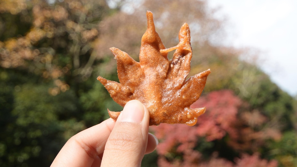 Une feuille d'érable japonais frite.