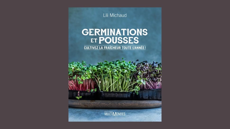 Couverture du livre Germinations et pousses cultivez la fraîcheur tout l'année par Lili Michaud. 