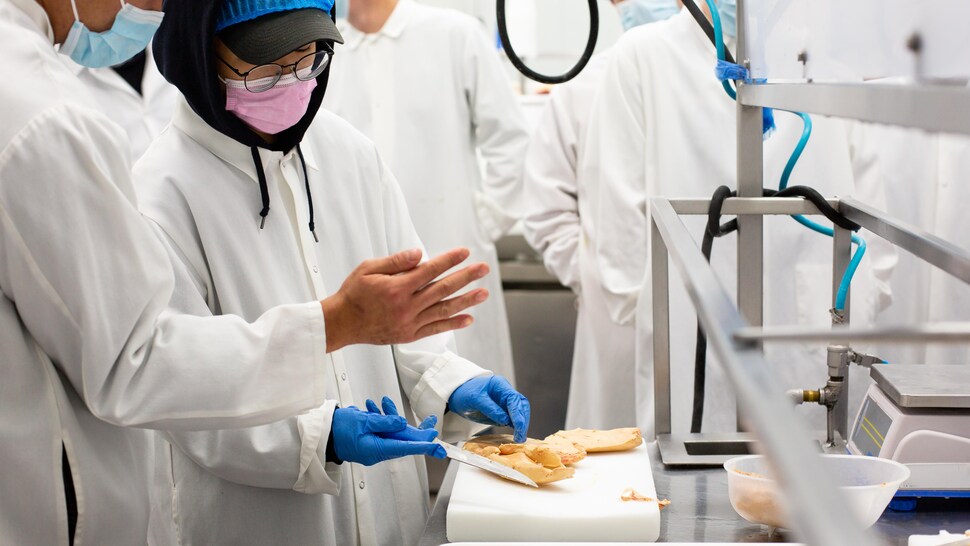 Deux étudiants déveinent et découpent du foie gras de canard.
