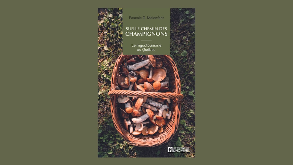 Le livre Sur le chemin des champignons de Pascale G. Malenfant aux Éditions de l’Homme.