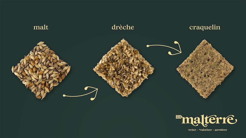 Visualisation de l'évolution des grains de malt qui forment les craquelins.