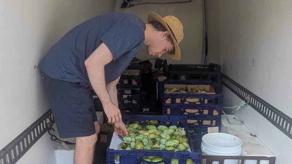 Zacharie Roy organise des fruits dans des cageots dans un camion réfrigéré.