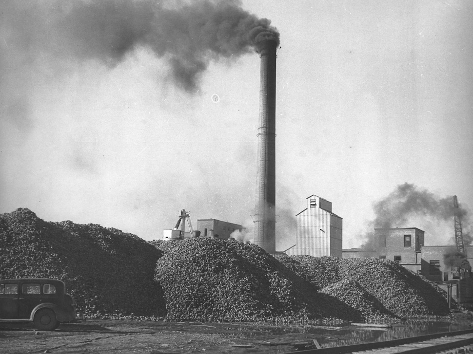 Des montagnes de betteraves devant l'usine en pleine activité.