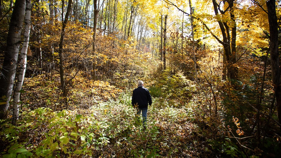 Yvon Gobeil se promène dans un secteur boisé de sa ferme.