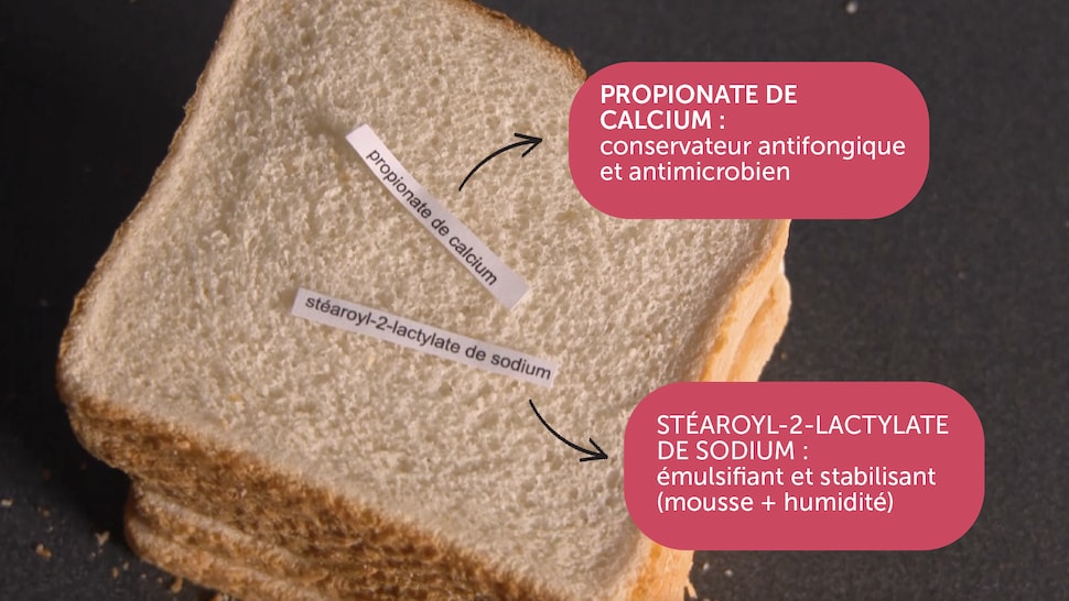 Additif Alimentaire : Glutamate de sodium - Guide des Additifs Alimentaires  de A à Z - France Minéraux