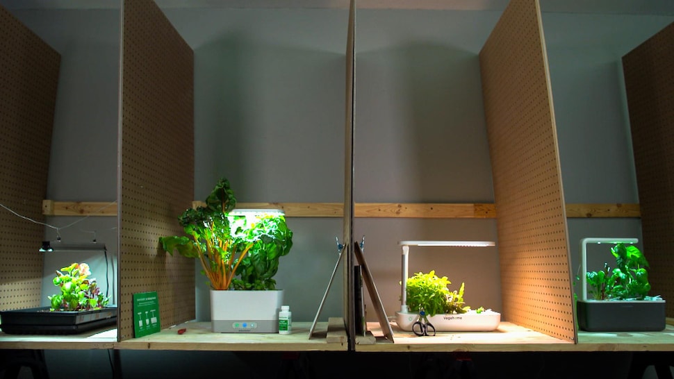 Système de culture hydroponique de 30 plantes pour jardin d'intérieur,  système de culture hydroponique, kit de jardin intelligent d'intérieur